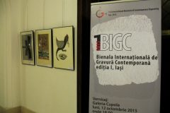 foto-expo-BIGC-Iasi-2015-085-scaled